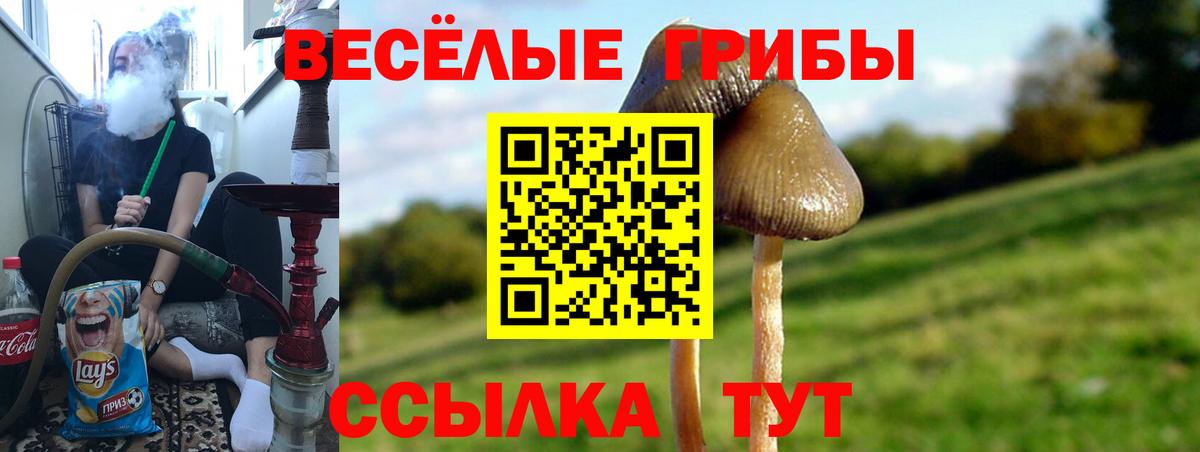 Галлюциногенные грибы мицелий Киселёвск