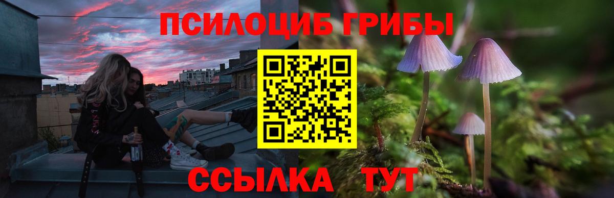 Галлюциногенные грибы Psilocybine cubensis  Вход с VPN  дарнет шоп  Киселёвск 