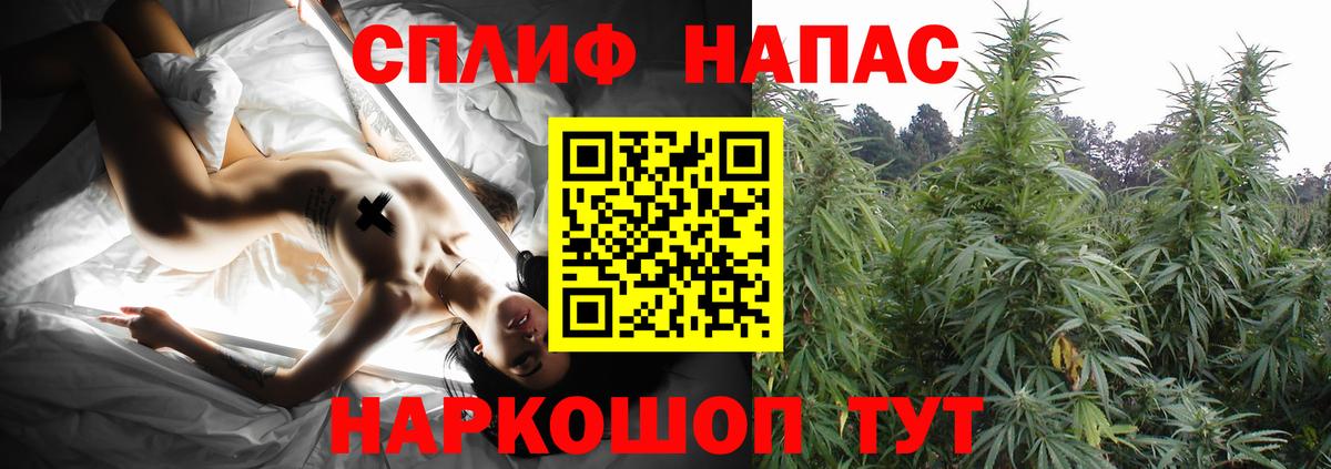 Марихуана LSD WEED  Вход с VPN  Бошки марихуана план  Бошки марихуана SATIVA & INDICA  Киселёвск 